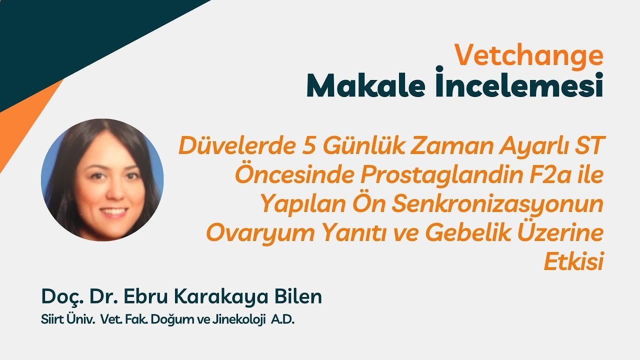 Düvelerde 5-gün ZST Öncesinde PGF2α ile Ön Senkronizasyonun Ovaryum Yanıtı ve Gebelik Üzerine Etkisi